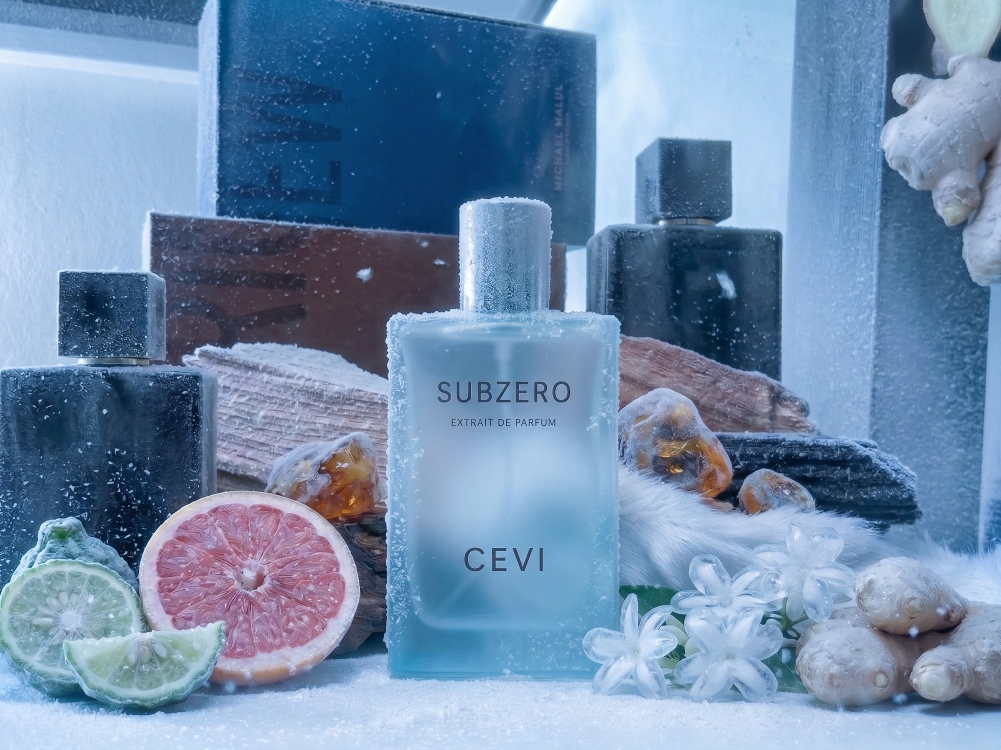 CEVI X Subzero Extrait De Parfum 100ml