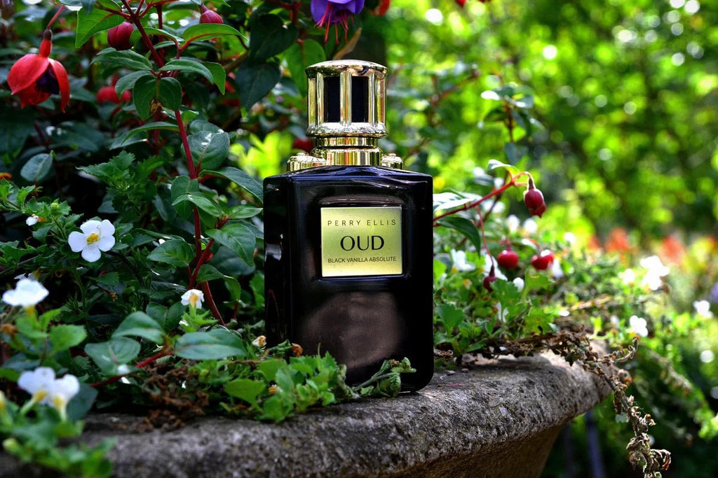 Perry Ellis Oud Black Vanilla Absolute EDP 100ml 3.4 Fl oz